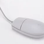 マウス
